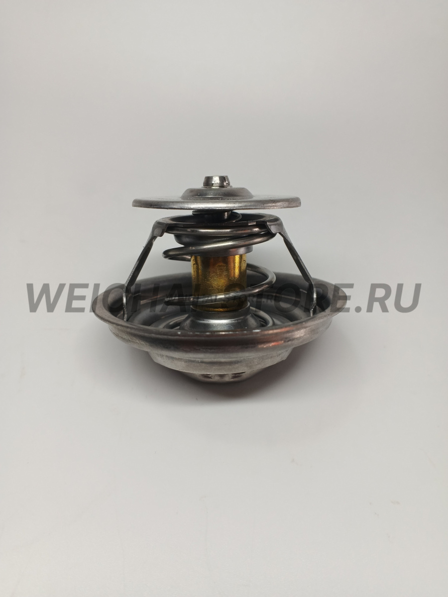 61800060172 термостат