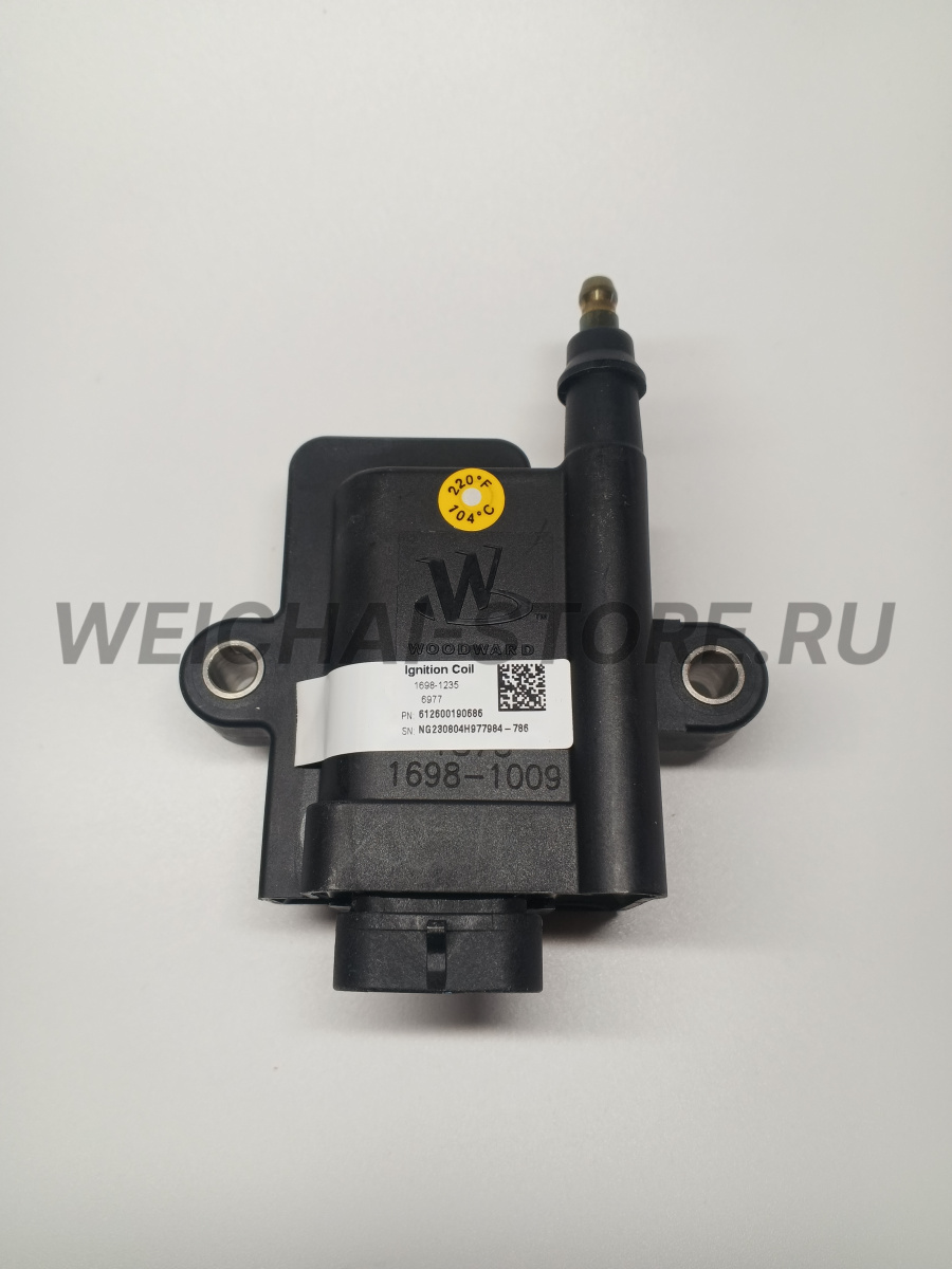 612600190686 Катушка зажигания