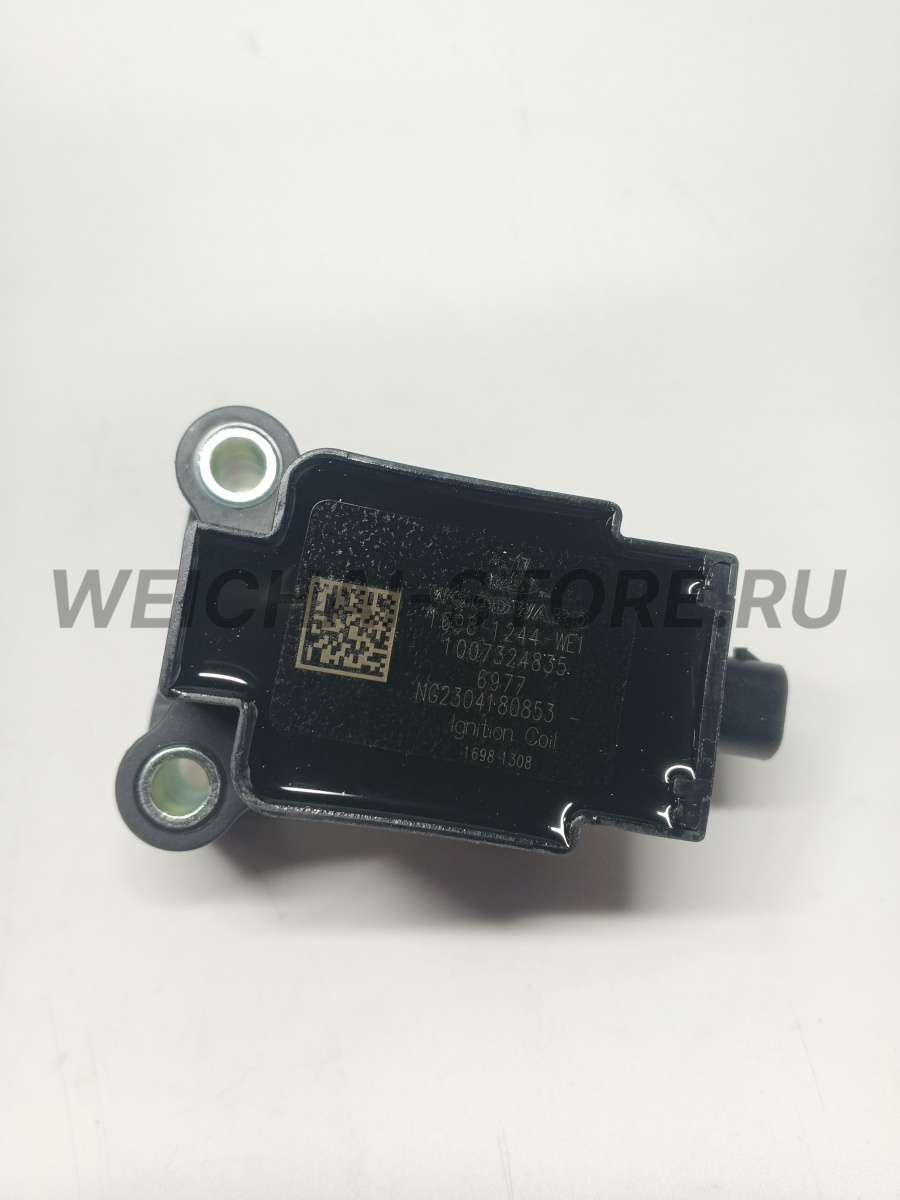 1007324835 Катушка зажигания