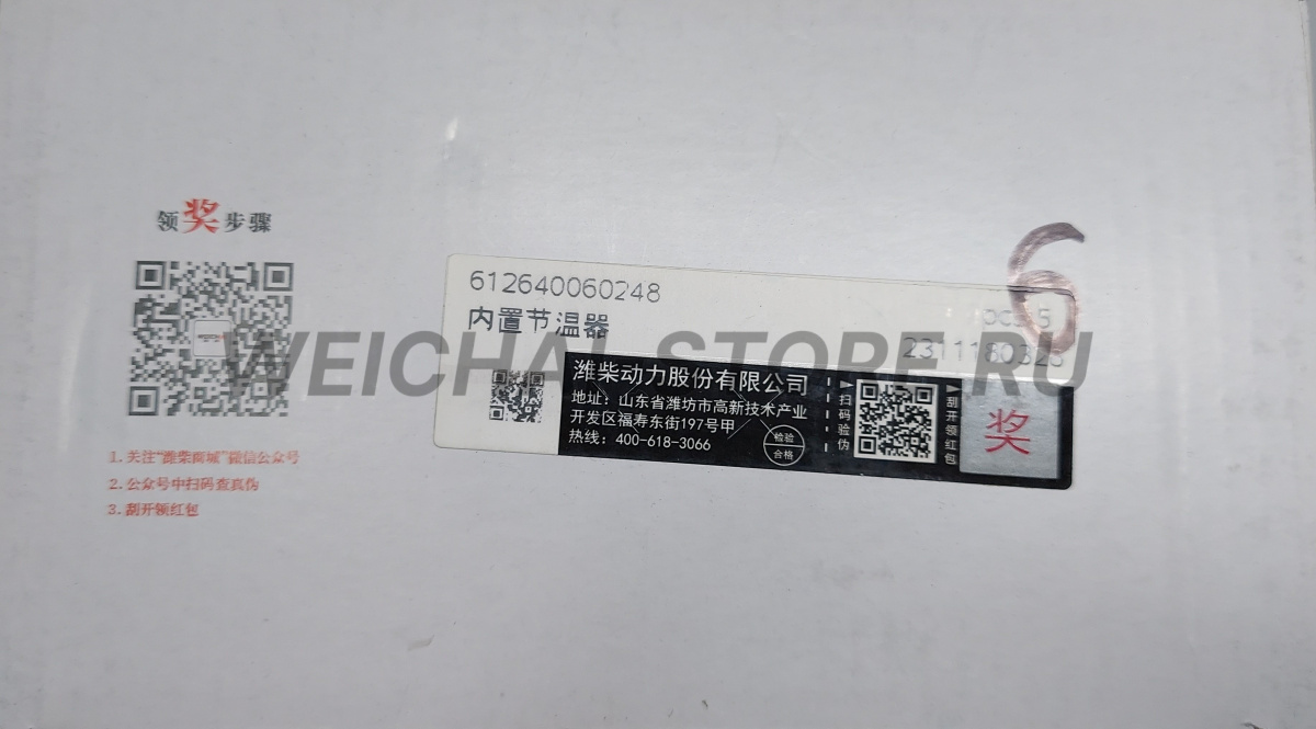 612640060248 Термостат