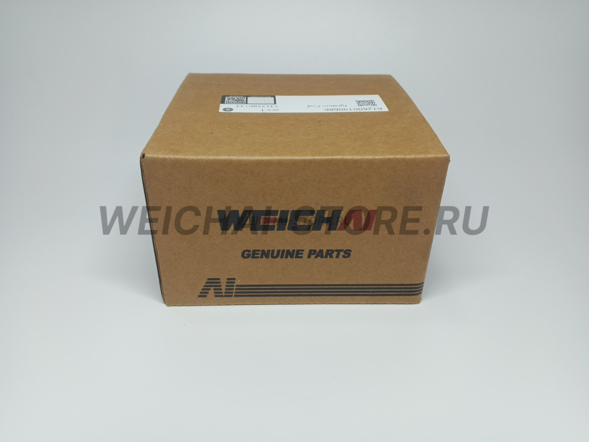 612600190686 Катушка зажигания