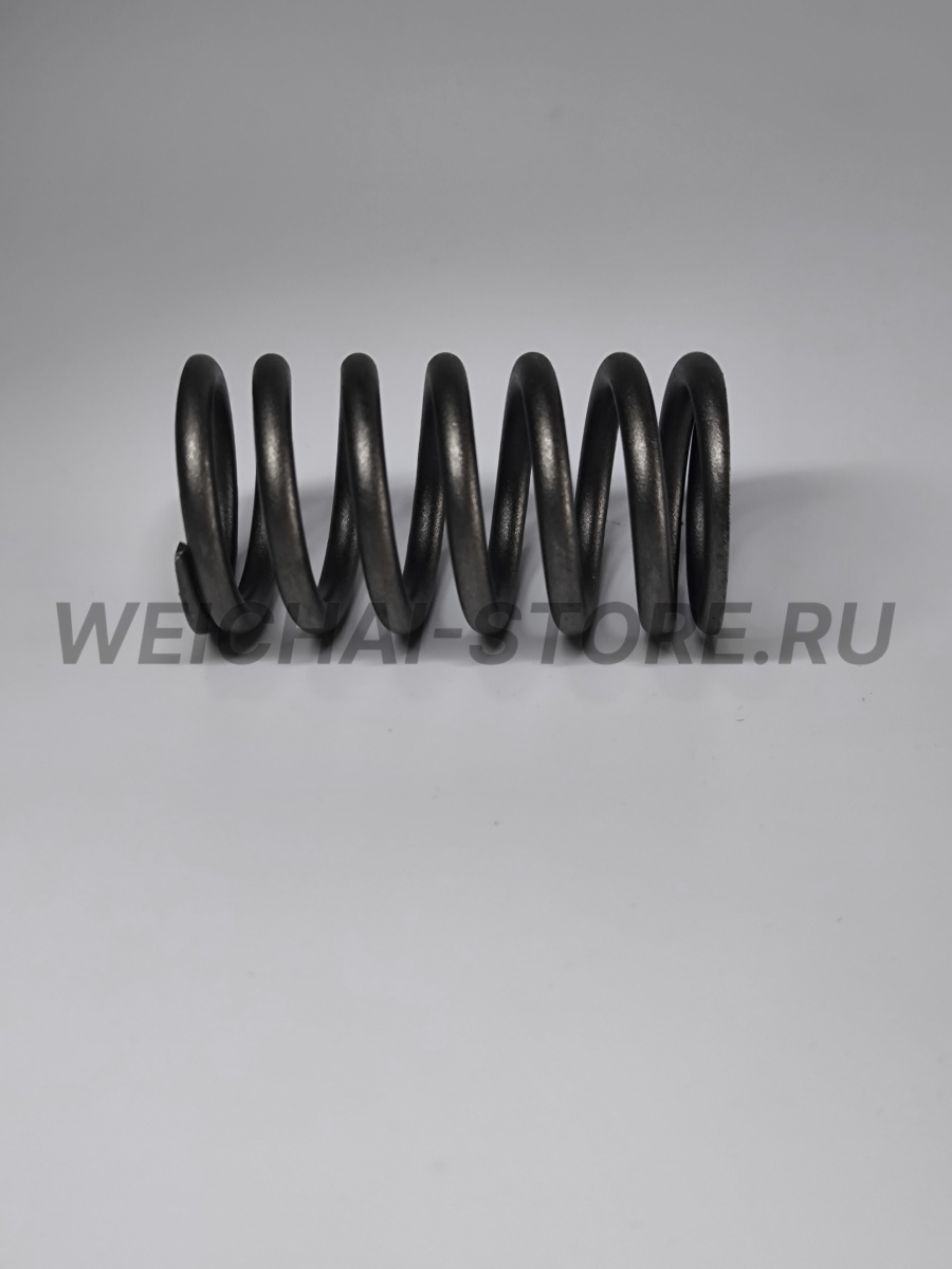 612630050005 пружина клапана