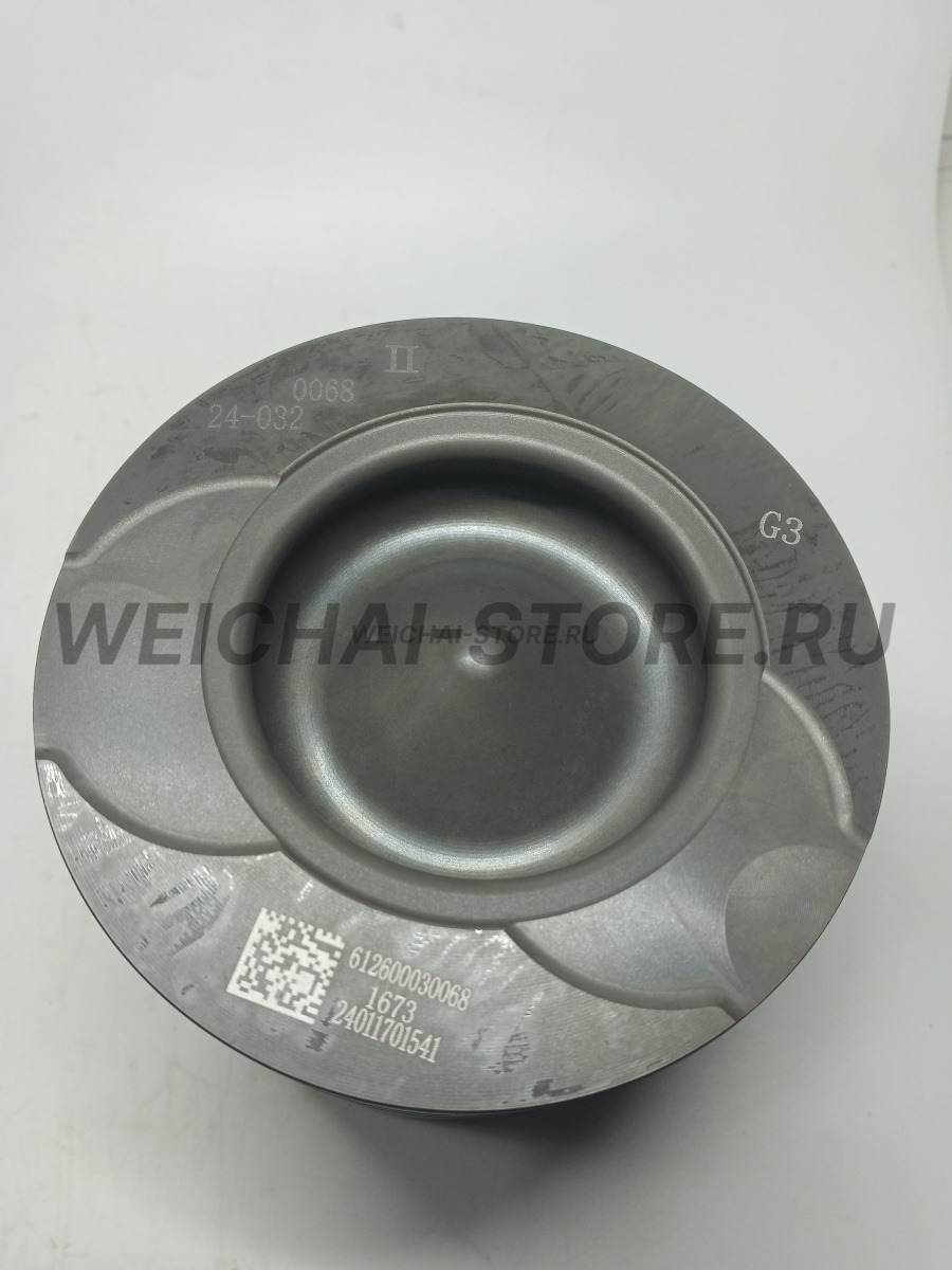 612600030068 Поршень WP10