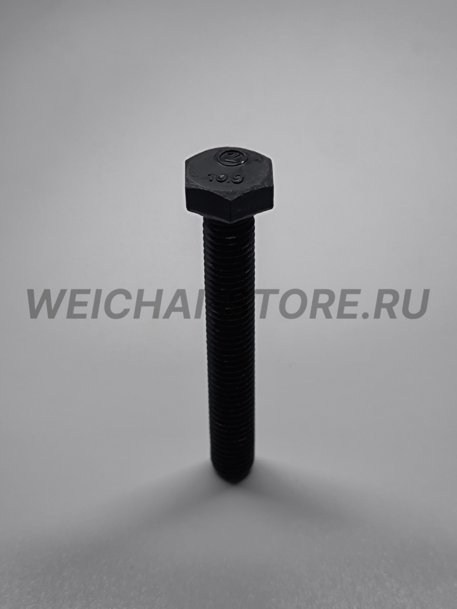 90003802558 болт шкива коленвала