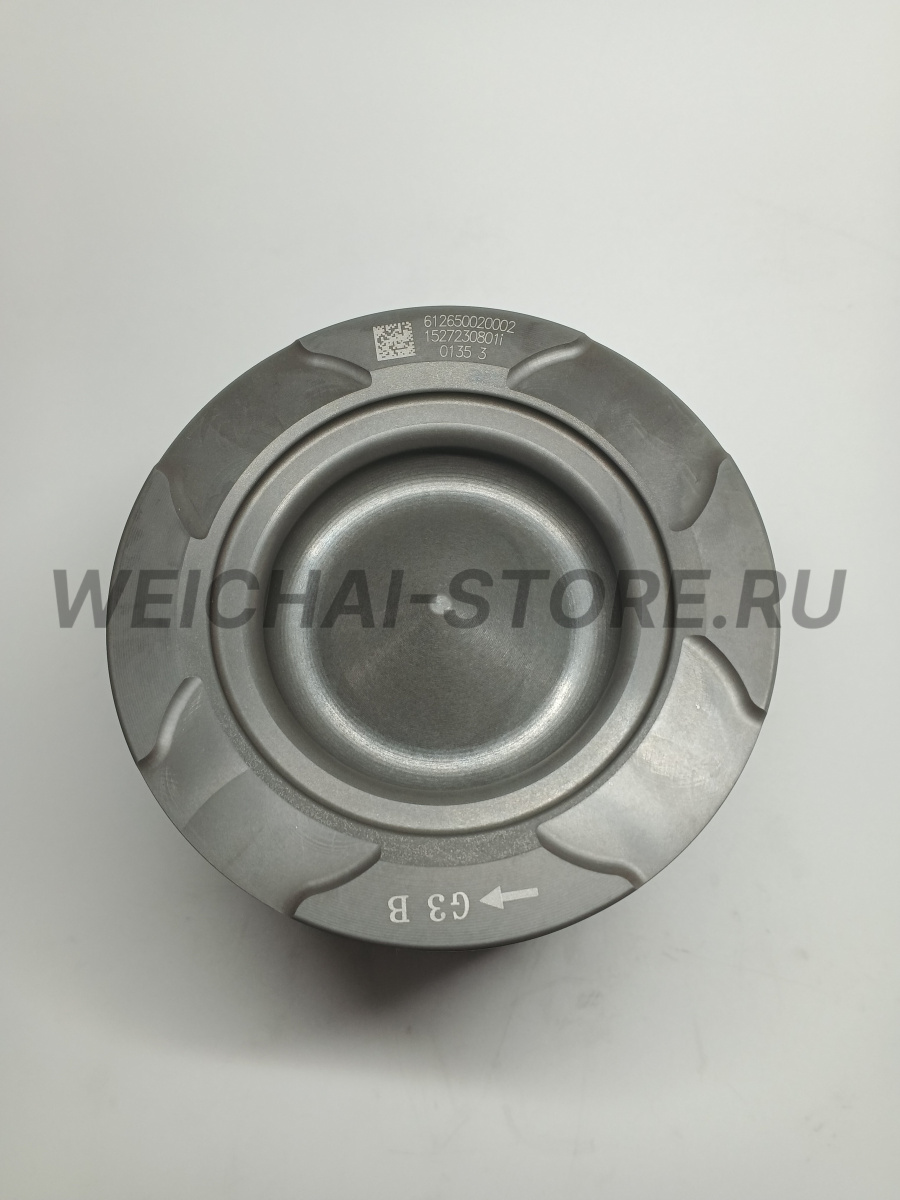 612650020002 поршень