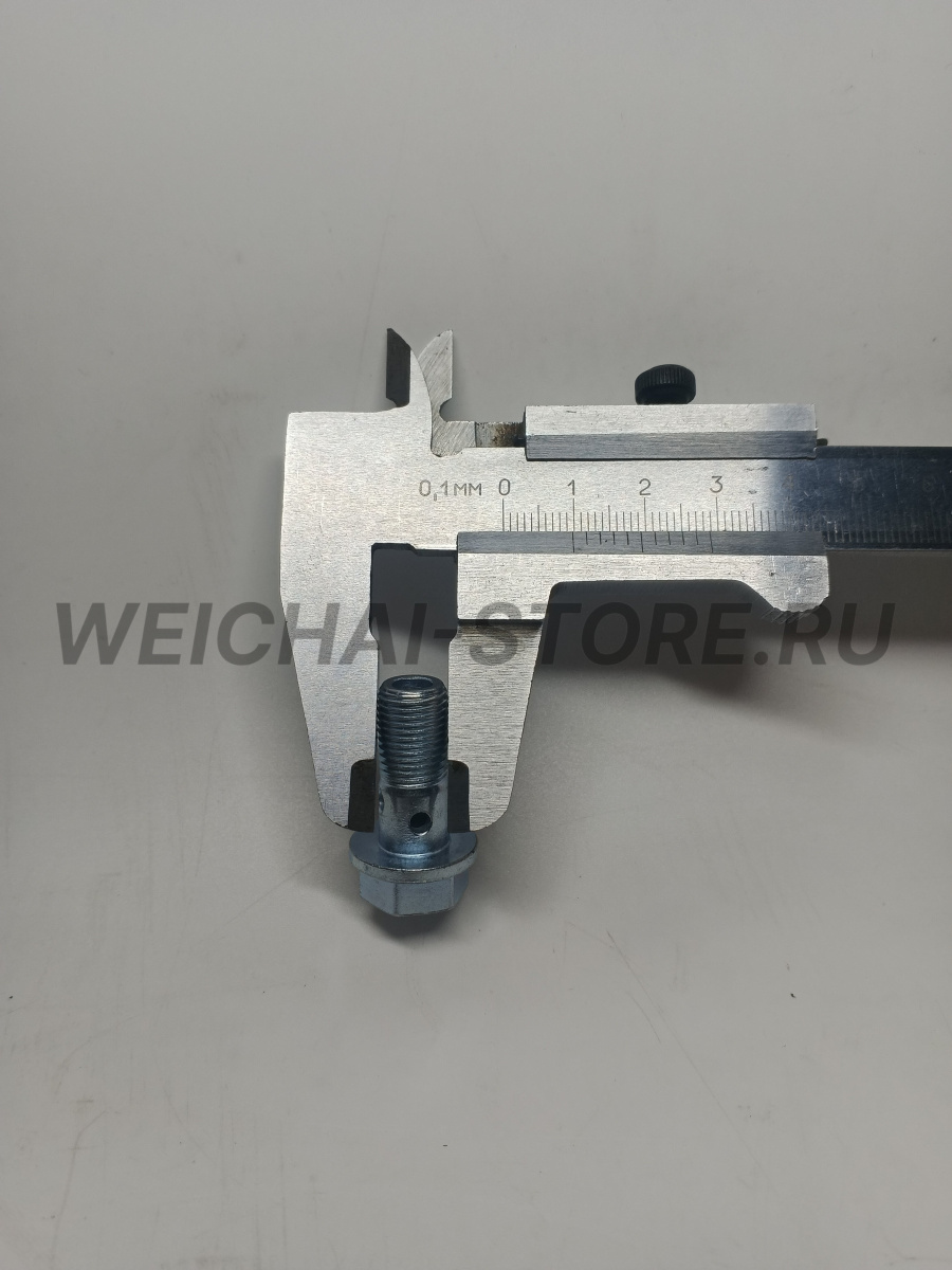 612639000047 Пустотелый болт (штуцер)