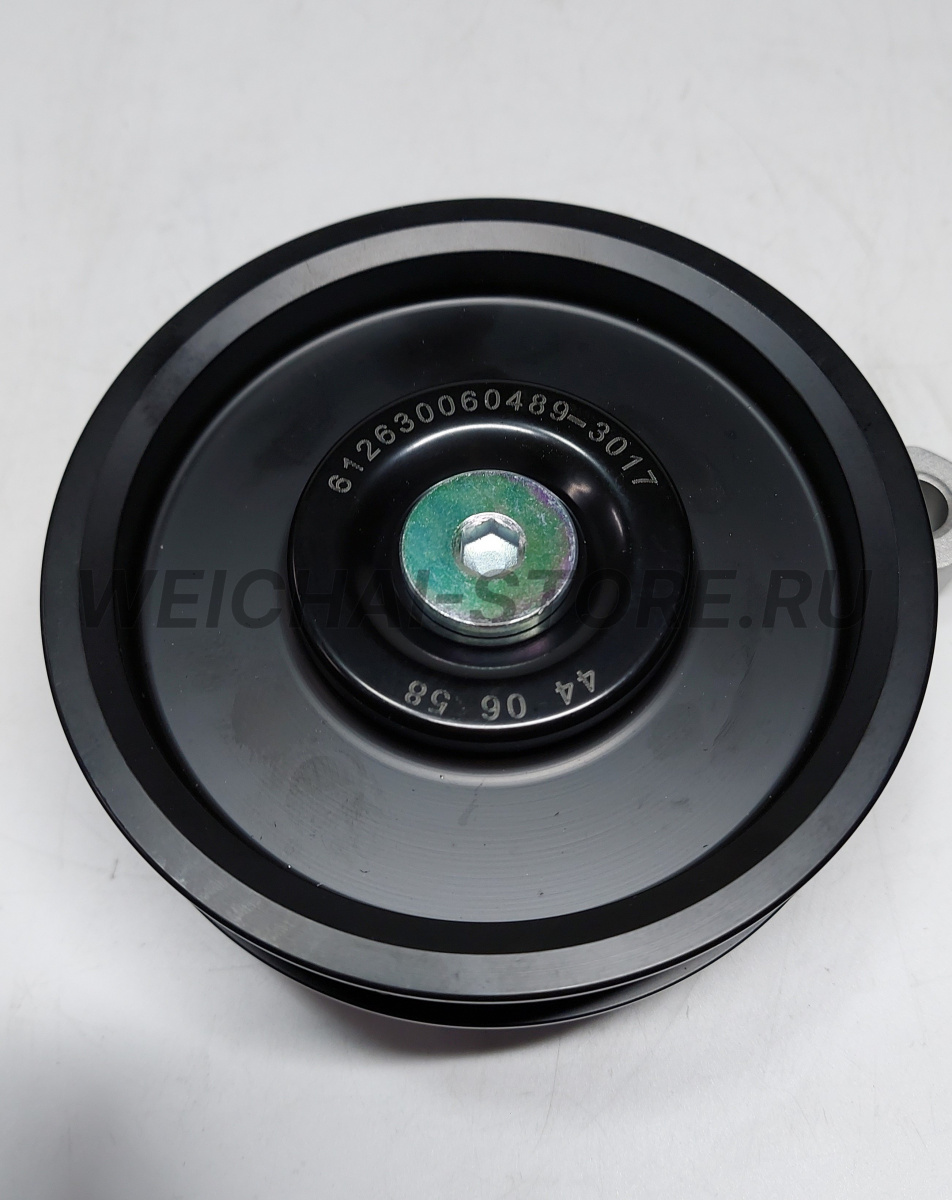 612630060489 Ролик обводной