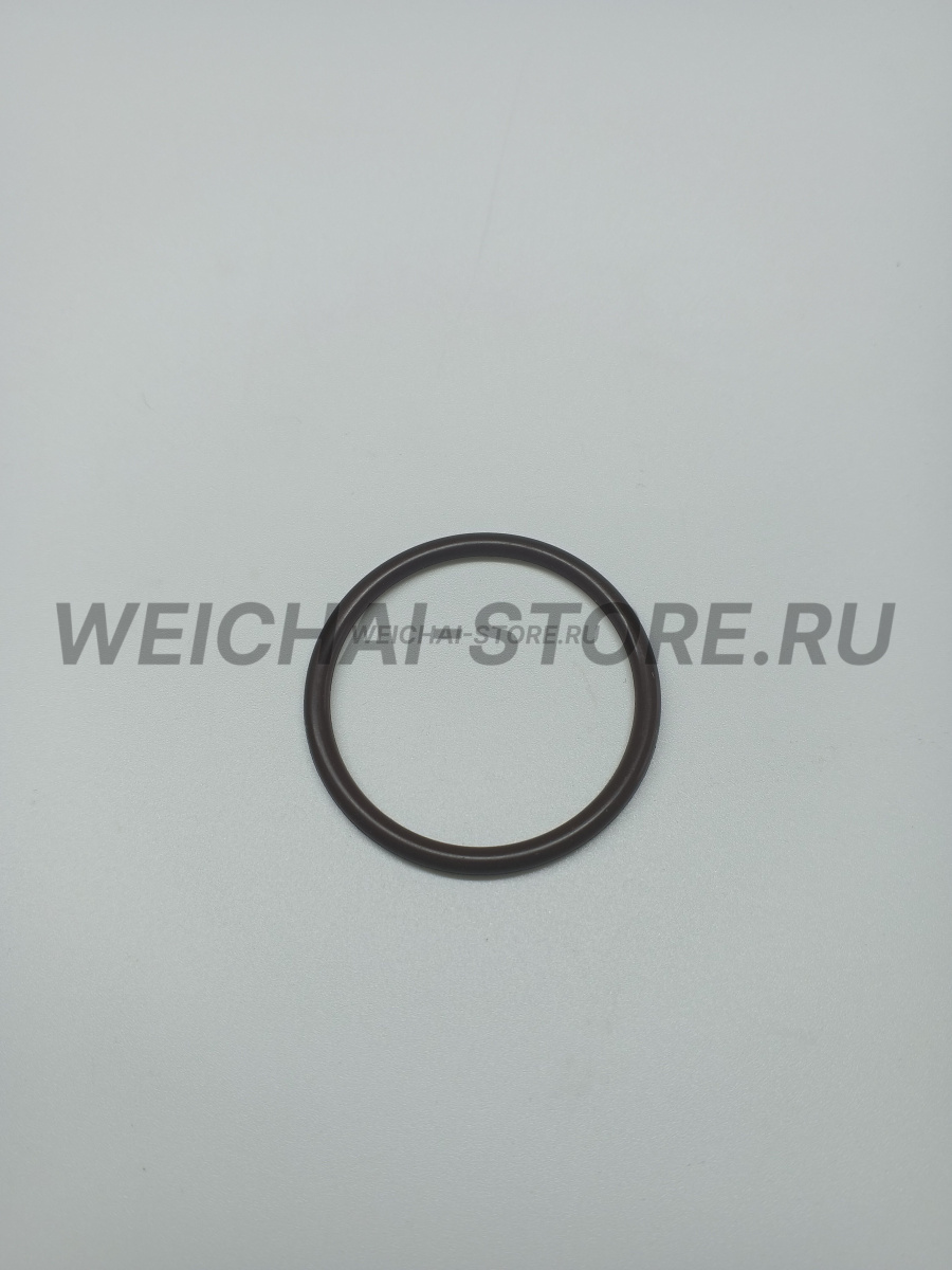 81400010032 Уплотнительное кольцо