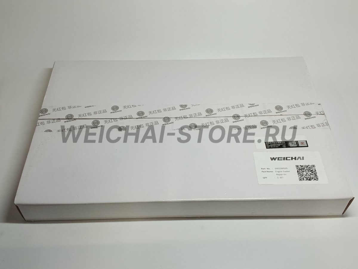 1002580505 Комплект прокладок WP10