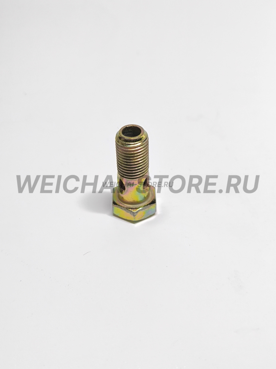 612600130333 болт полый