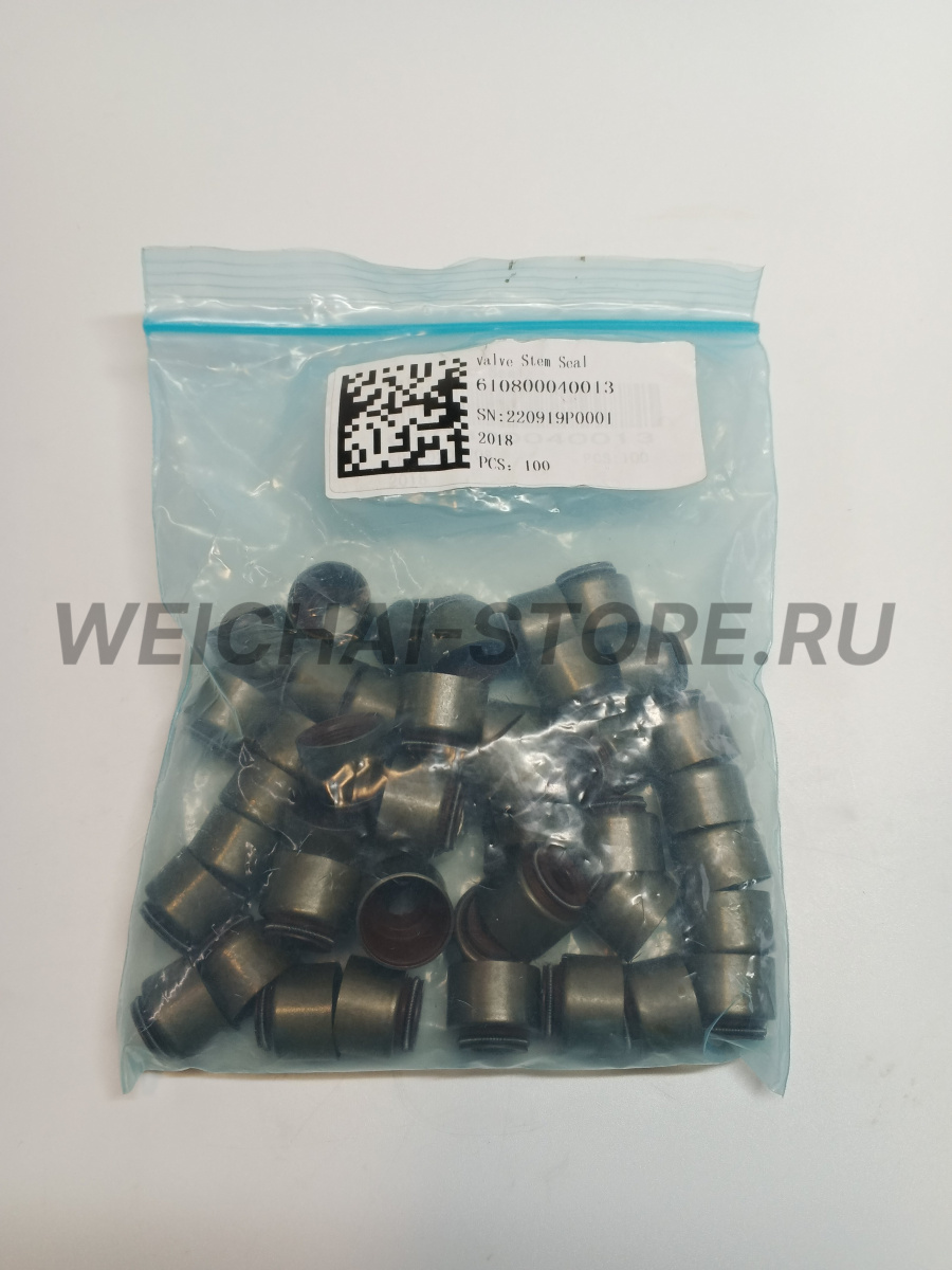610800040013 сальник клапана
