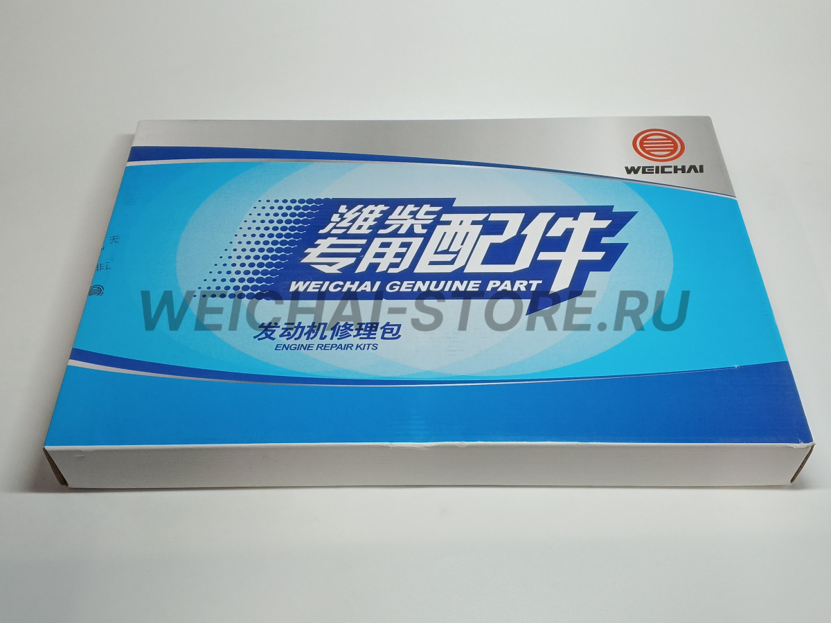 1002580505 Комплект прокладок WP10