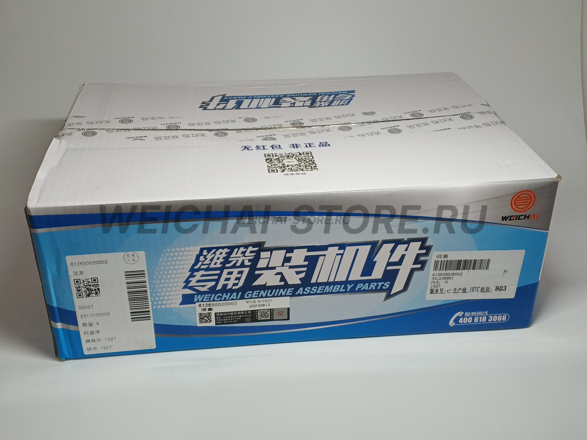 612650020002 поршень