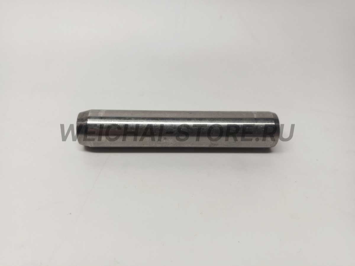 1004718837 Направляющая клапана (612630040250)