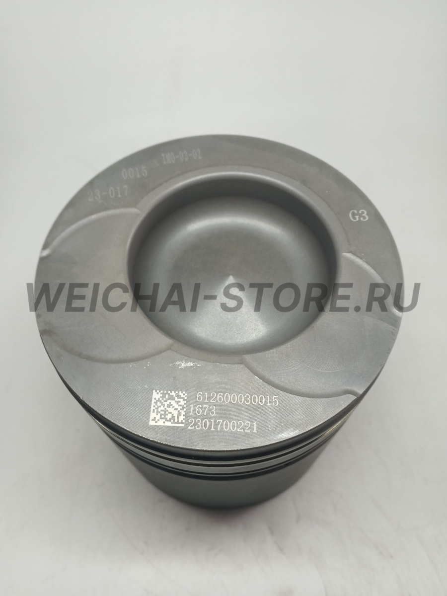 612600030015 Поршень