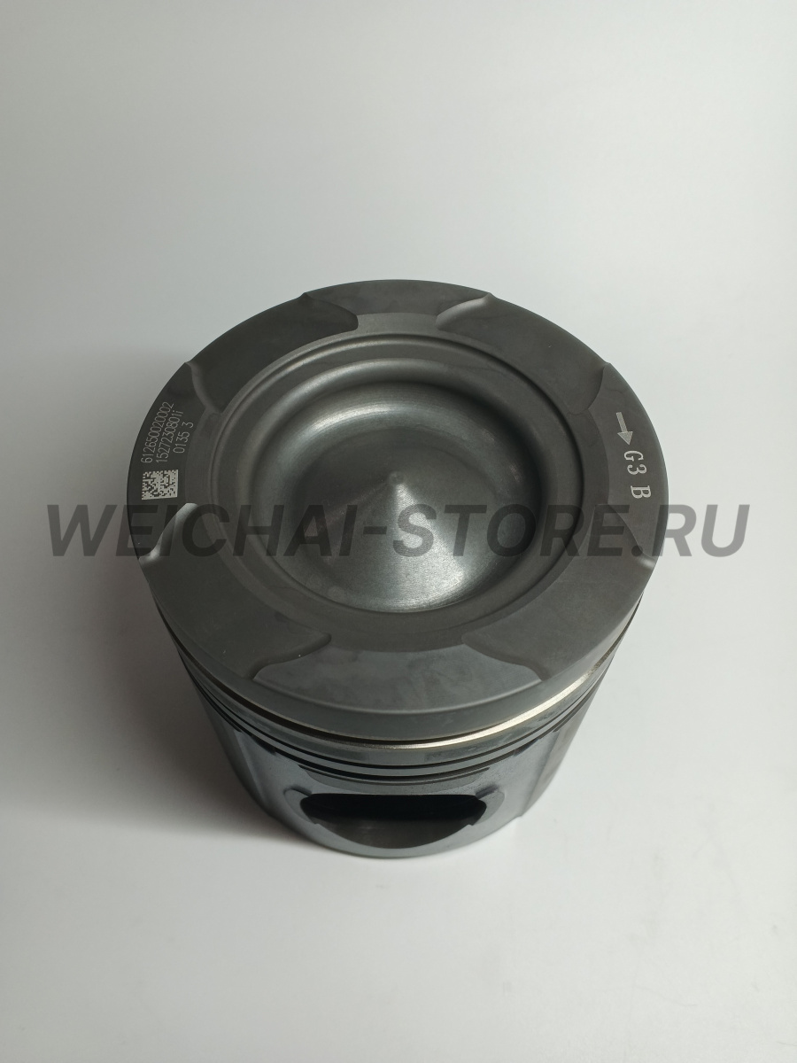 612650020002 поршень