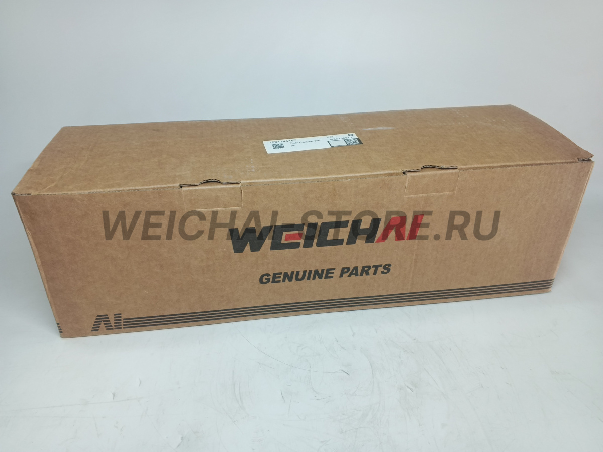 1001344187 Фильтр в сборе