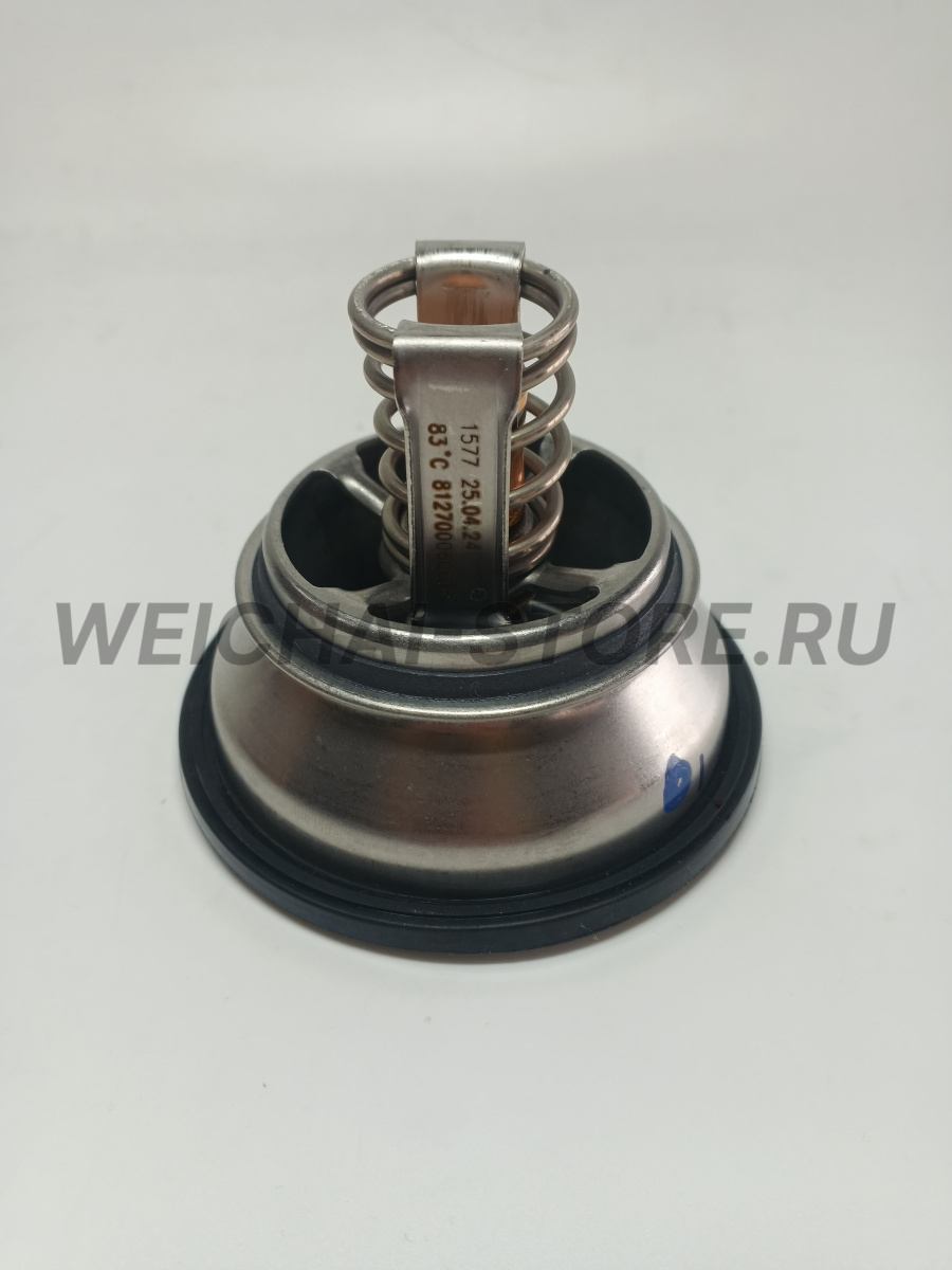 812700060016 Термостат