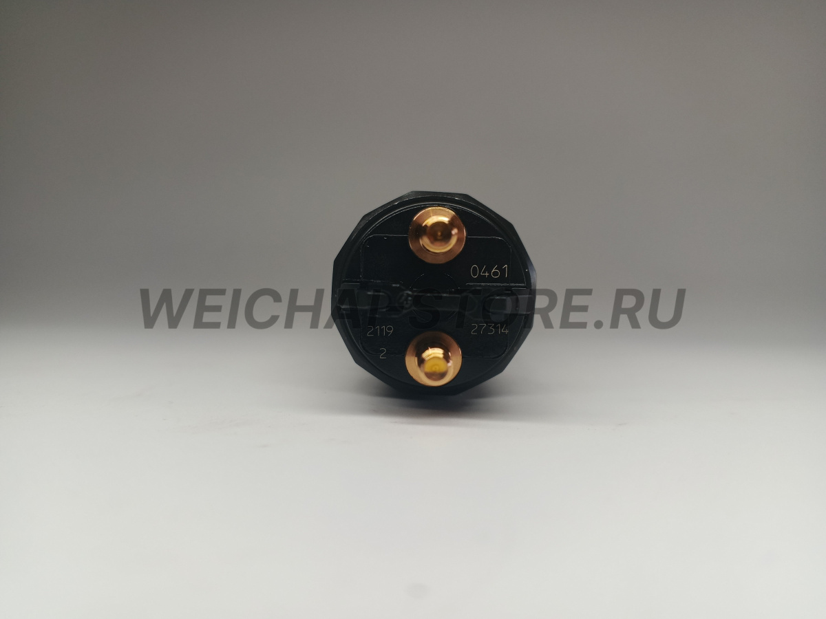 1000035955 форсунка (BOSCH 0445120461)