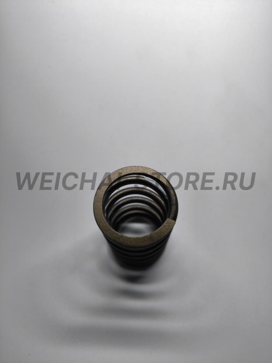 61500050002 пружина клапана большая