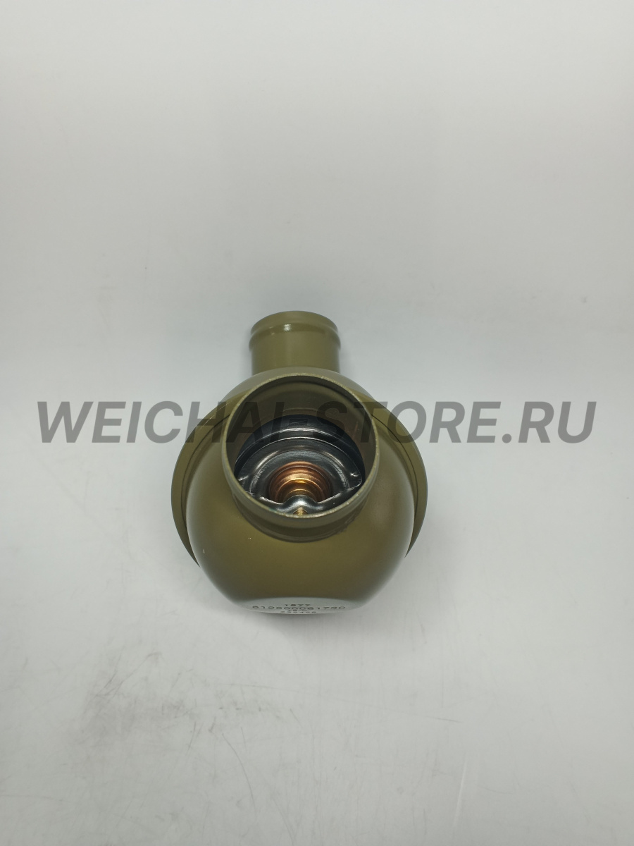 612600061730 Термостат (76 С)