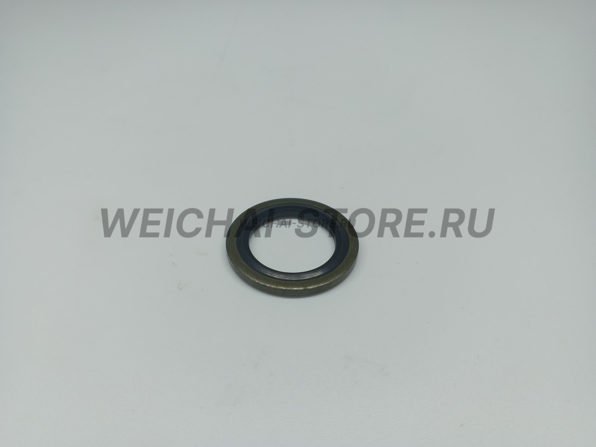 612600080275 шайба прорезиненная