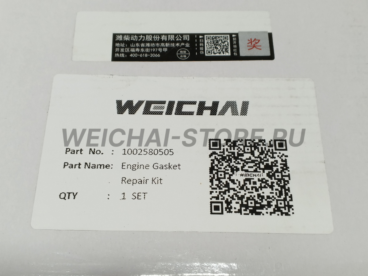 1002580505 Комплект прокладок WP10