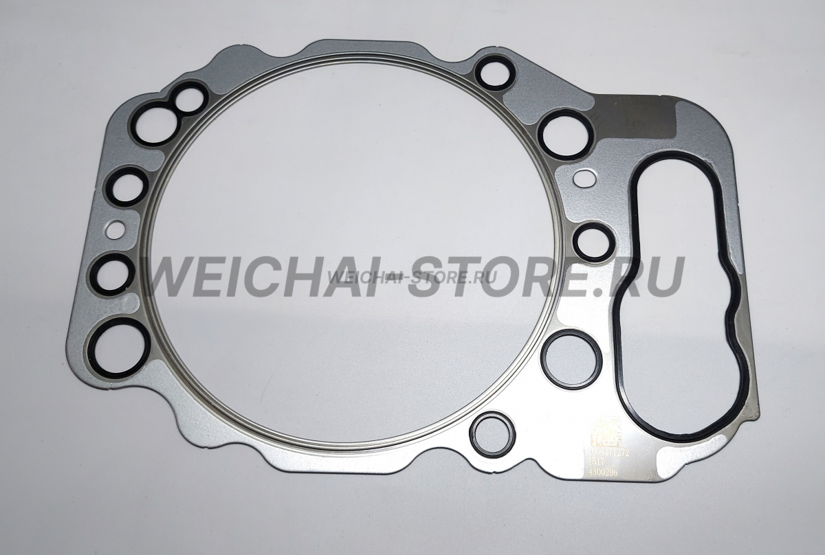 1009471272 Прокладка головки