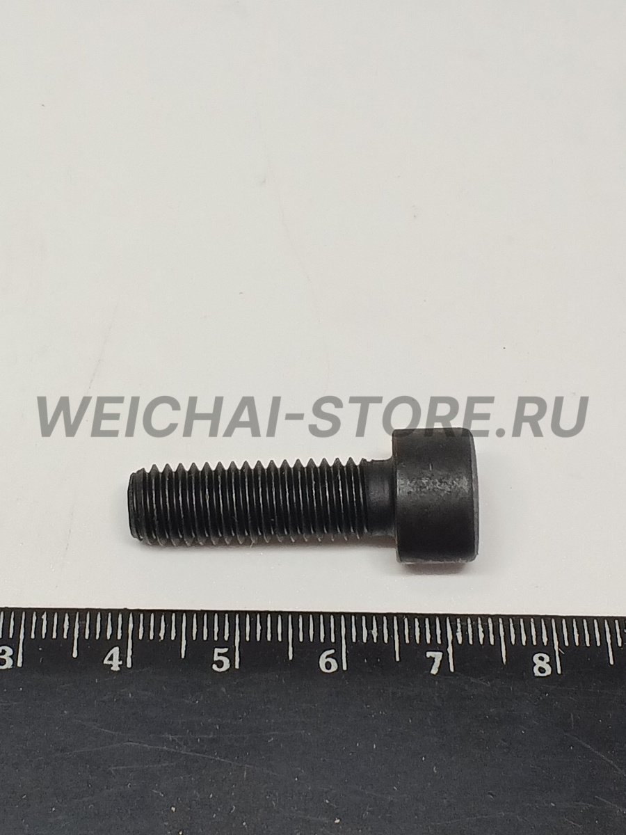 90003862428 Винт с шестигранной головкой