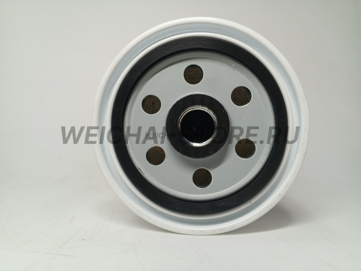 1000816691 Фильтр топливный (13020488)