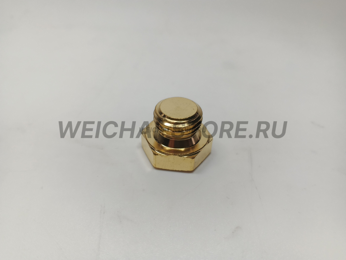 90003962020 Пробка водяного коллектора