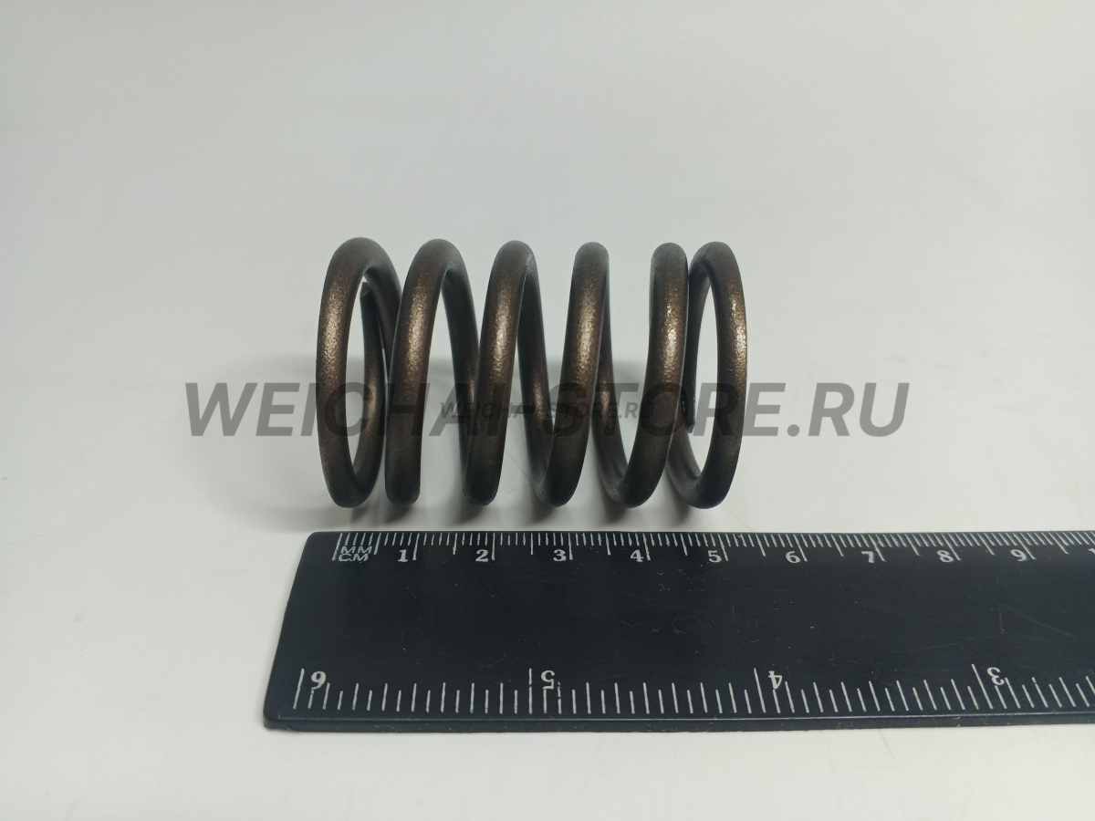 01222051 Пружина клапана