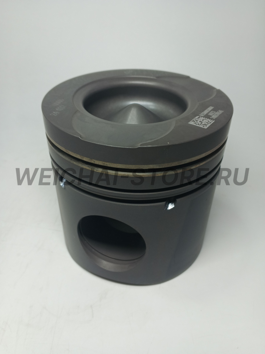 612600030068 Поршень WP10