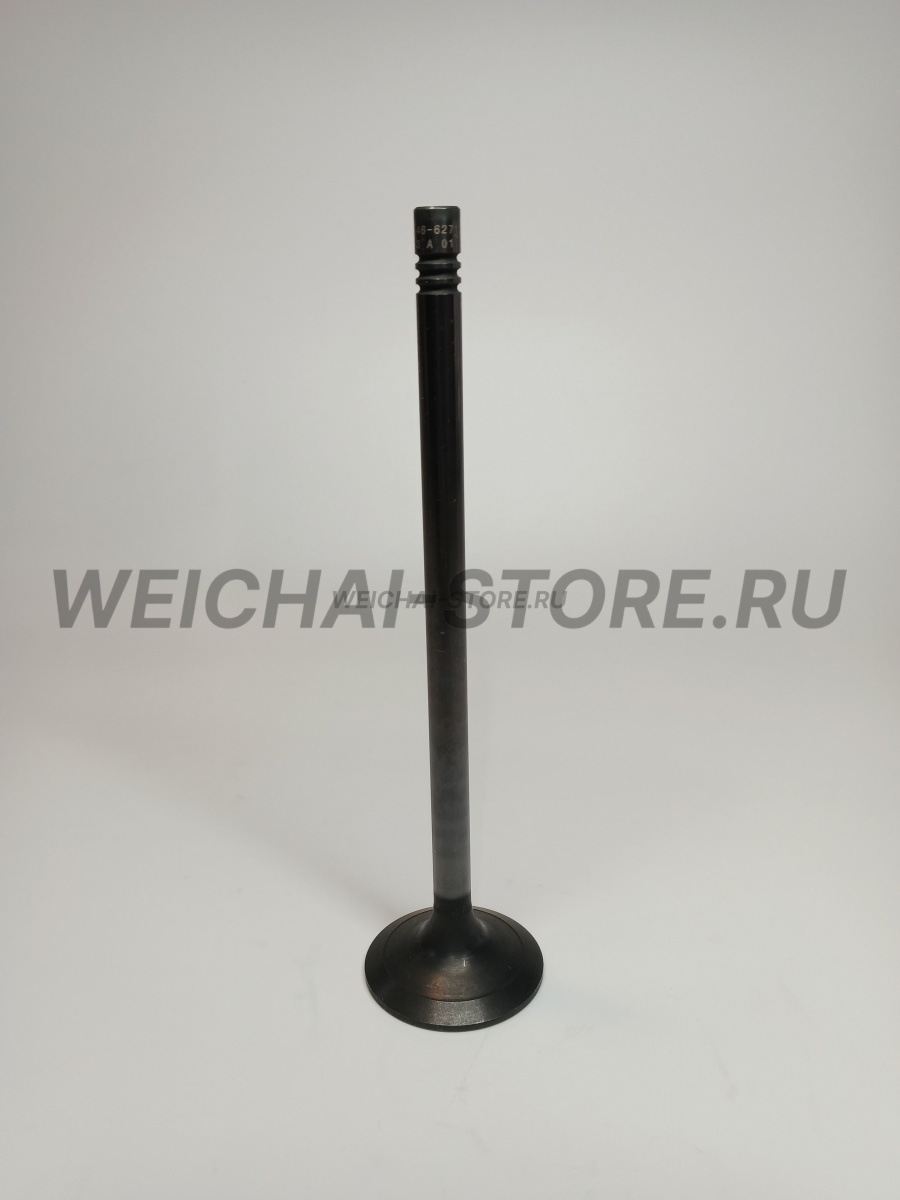 612630050146 клапан впускной