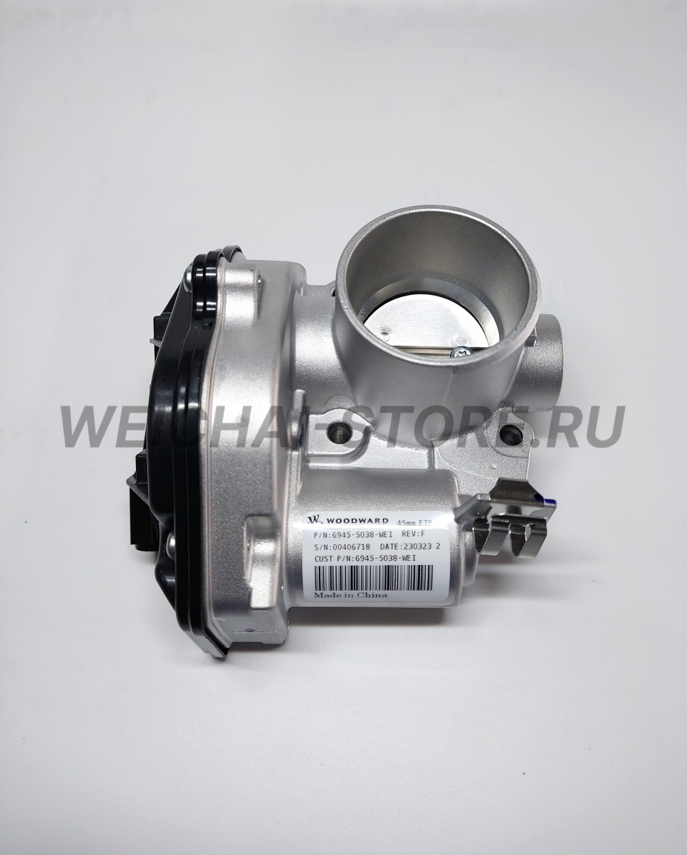 410800190155 Электронный дроссель