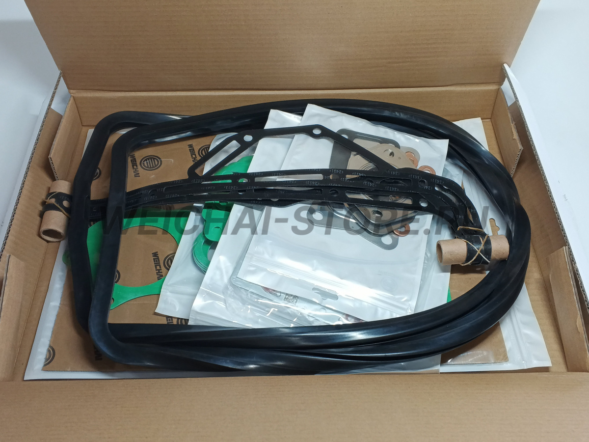 1002580505 Комплект прокладок WP10