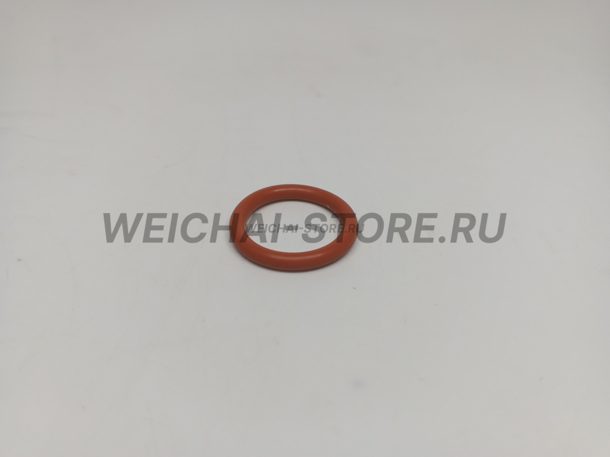 609070080 Кольцо уплотнительное форсунки