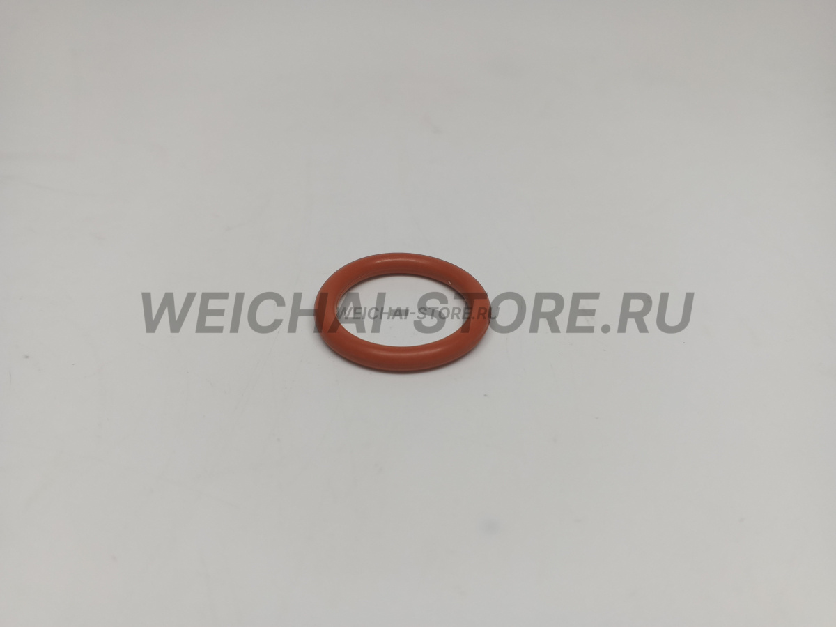 609070080 Кольцо уплотнительное форсунки