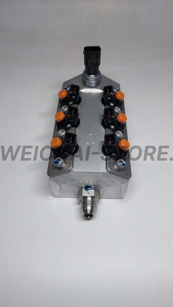 612600191588 Модуль газовых форсунок в сборе