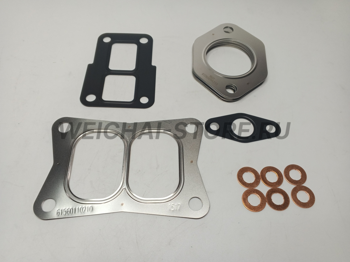 1002580505 Комплект прокладок WP10