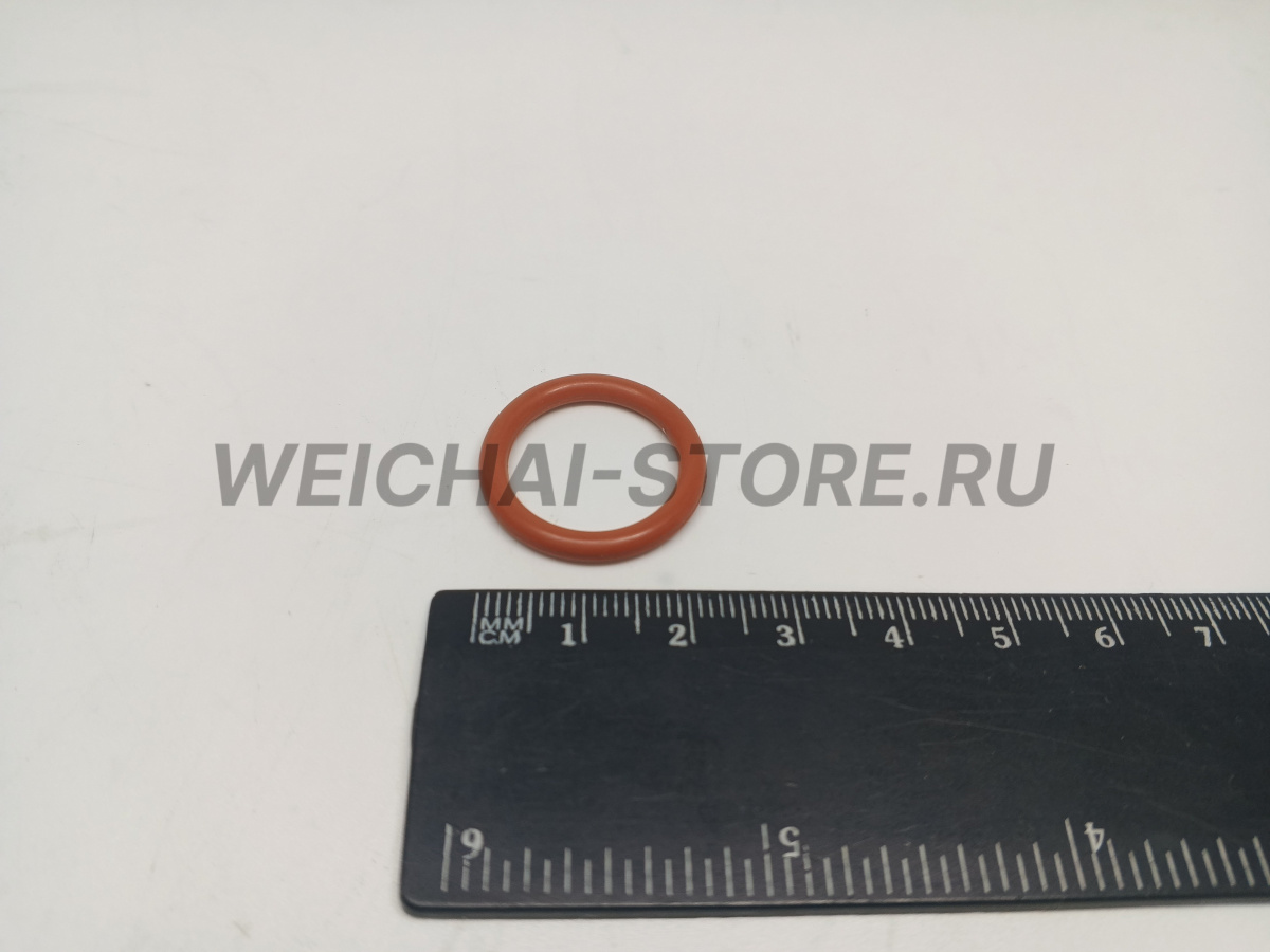 609070080 Кольцо уплотнительное форсунки