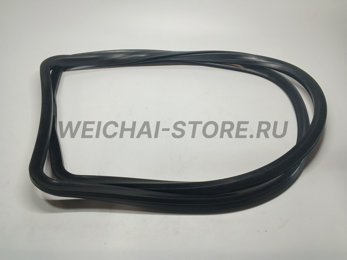 1002580505 Комплект прокладок WP10