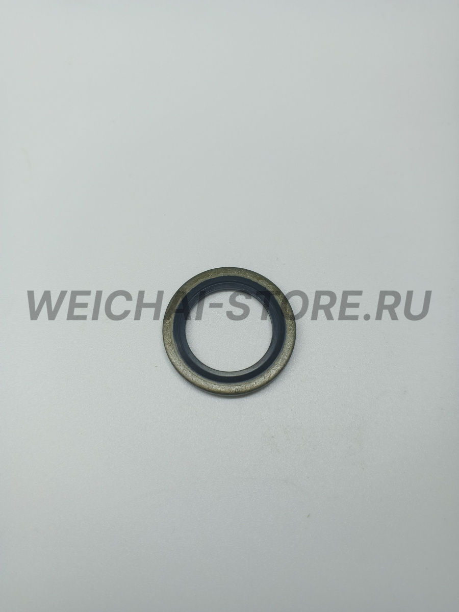 612600080275 шайба прорезиненная