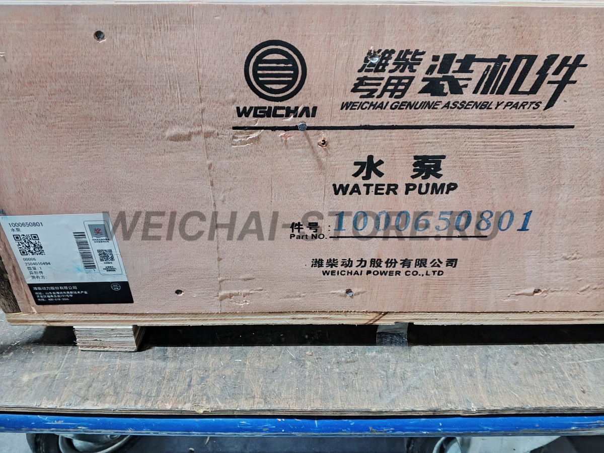 1000650801 Водяной насос