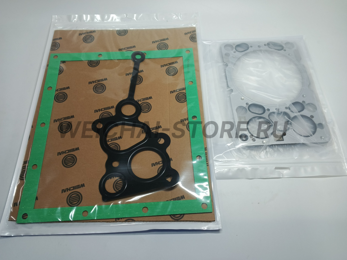 1003162606 комплект прокладок WP12