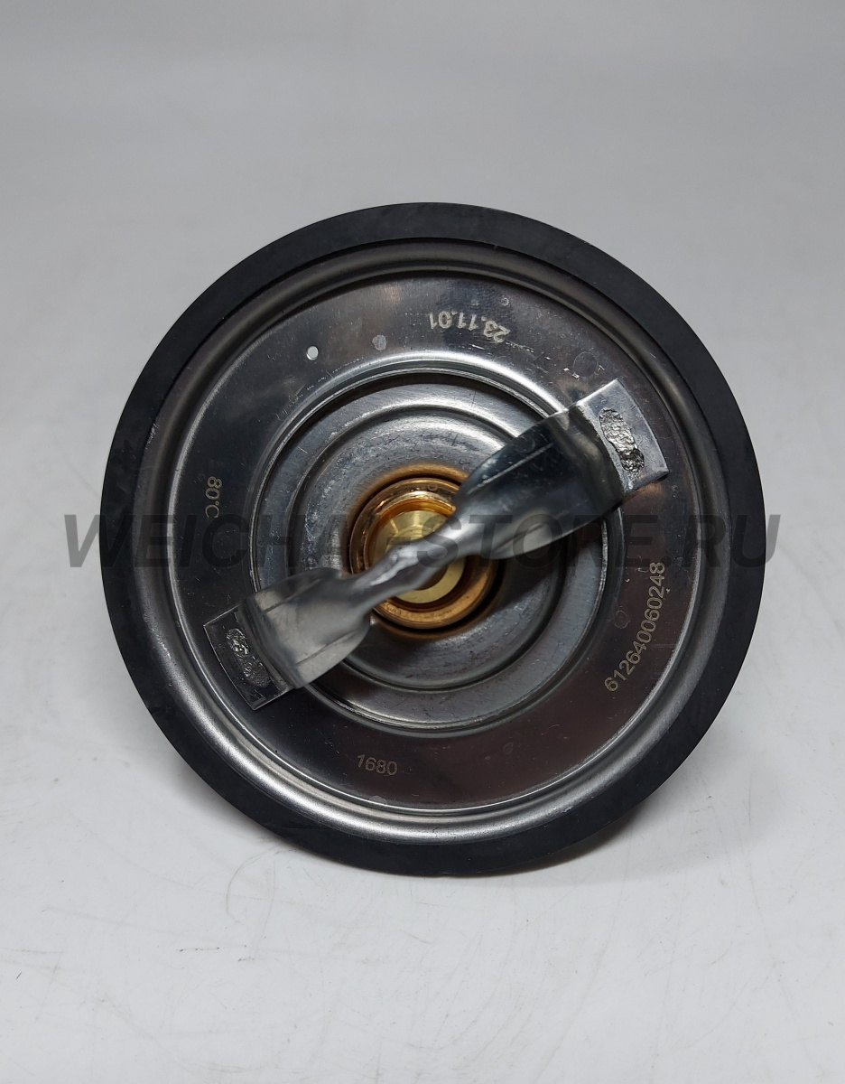 612640060248 Термостат