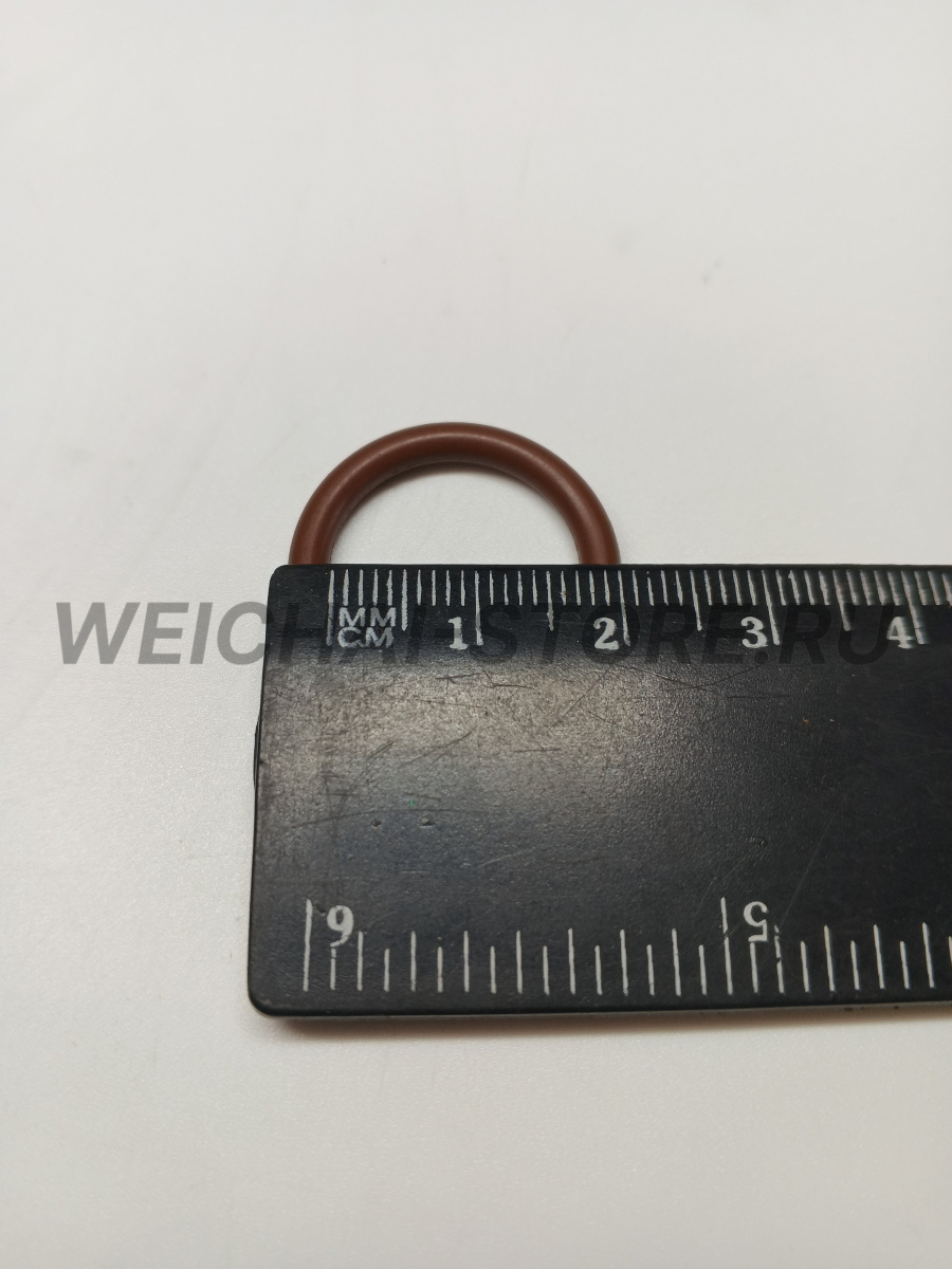 609070080 Кольцо уплотнительное форсунки