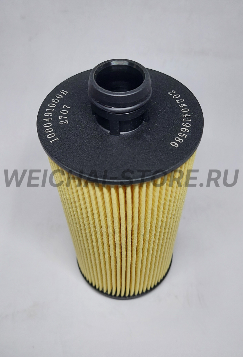 1000491060 фильтр масляный