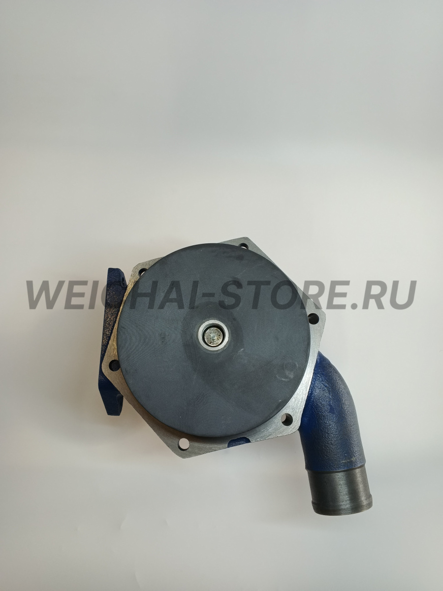 1000402861 помпа