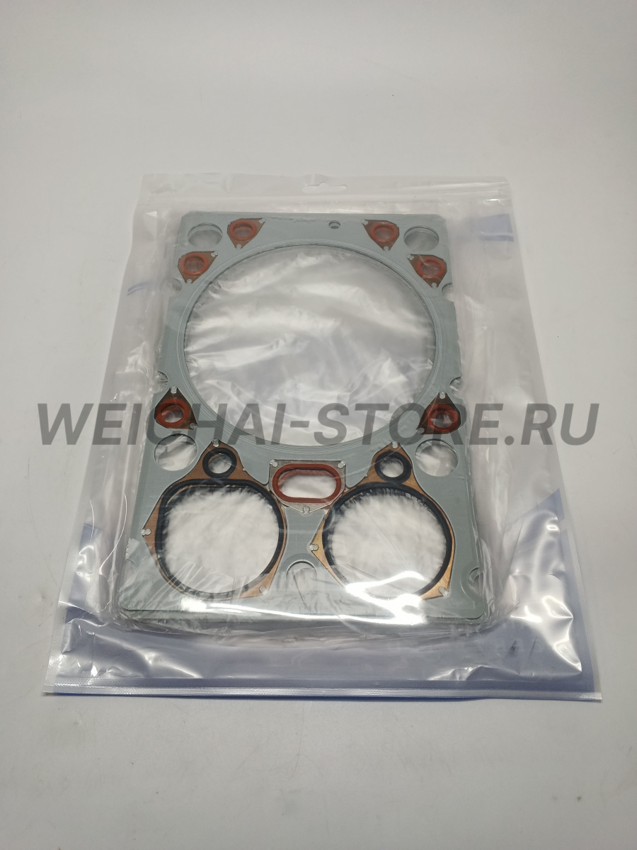 1002580505 Комплект прокладок WP10